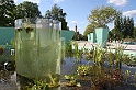 BUGA Schwerin   029